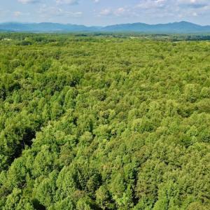 Photo #29 of SOLD property in 524 Lobo Lane, Arrington, VA 64.8 acres