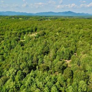 Photo #30 of SOLD property in 524 Lobo Lane, Arrington, VA 64.8 acres