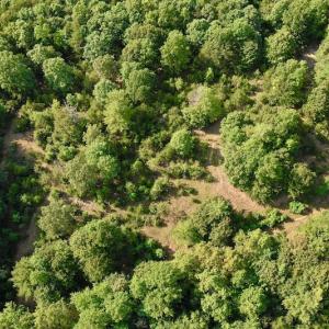 Photo #32 of SOLD property in 524 Lobo Lane, Arrington, VA 64.8 acres