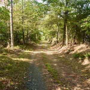 Photo #36 of SOLD property in 524 Lobo Lane, Arrington, VA 64.8 acres