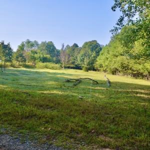 Photo #38 of SOLD property in 524 Lobo Lane, Arrington, VA 64.8 acres