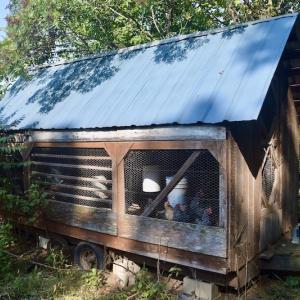 Photo #39 of SOLD property in 524 Lobo Lane, Arrington, VA 64.8 acres