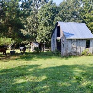 Photo #42 of SOLD property in 524 Lobo Lane, Arrington, VA 64.8 acres