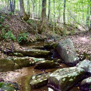 Photo #46 of SOLD property in 524 Lobo Lane, Arrington, VA 64.8 acres