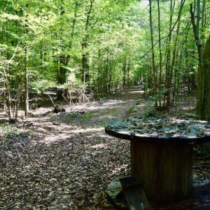 Photo #49 of SOLD property in 524 Lobo Lane, Arrington, VA 64.8 acres