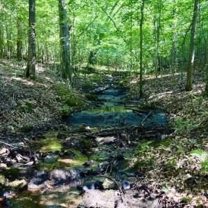 Photo #55 of SOLD property in 524 Lobo Lane, Arrington, VA 64.8 acres