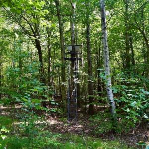 Photo #57 of SOLD property in 524 Lobo Lane, Arrington, VA 64.8 acres