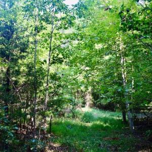 Photo #58 of SOLD property in 524 Lobo Lane, Arrington, VA 64.8 acres