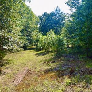 Photo #61 of SOLD property in 524 Lobo Lane, Arrington, VA 64.8 acres