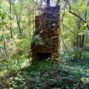 Photo #64 of SOLD property in 524 Lobo Lane, Arrington, VA 64.8 acres