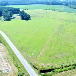 Photo #12 of SOLD property in 874 Bryant Farm Road, Tarboro, NC 41.0 acres