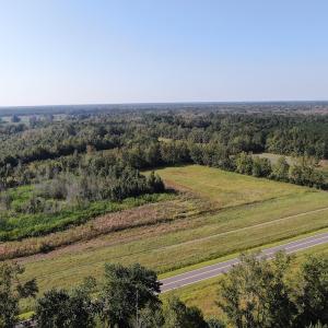 Photo #2 of SOLD property in 5161 Long Branch Swamp Road, Green Sea, SC 148.0 acres