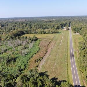 Photo #4 of SOLD property in 5161 Long Branch Swamp Road, Green Sea, SC 148.0 acres