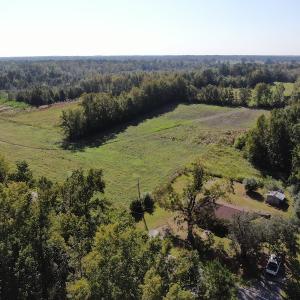 Photo #6 of SOLD property in 5161 Long Branch Swamp Road, Green Sea, SC 148.0 acres