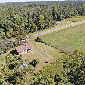 Photo #7 of SOLD property in 5161 Long Branch Swamp Road, Green Sea, SC 148.0 acres