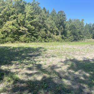 Photo #18 of 5161 Long Branch Swamp Road, Green Sea, SC 148.0 acres