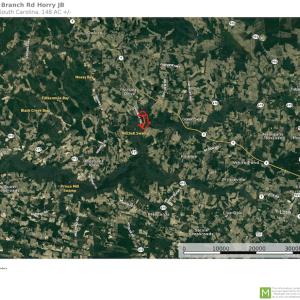 Photo #21 of SOLD property in 5161 Long Branch Swamp Road, Green Sea, SC 148.0 acres
