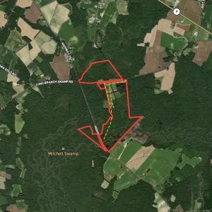 Photo #1 of SOLD property in 5161 Long Branch Swamp Road, Green Sea, SC 148.0 acres
