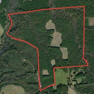 Photo #1 of SOLD property in Off Peter Stallings Road, Macon, NC 187.0 acres