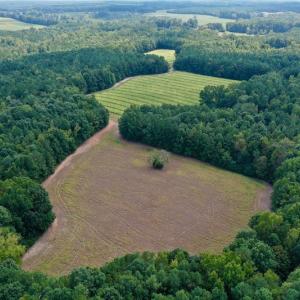 Photo #7 of Off Peter Stallings Road, Macon, NC 187.0 acres