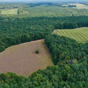Photo #8 of SOLD property in Off Peter Stallings Road, Macon, NC 187.0 acres