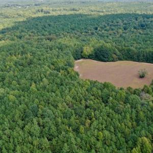 Photo #9 of SOLD property in Off Peter Stallings Road, Macon, NC 187.0 acres
