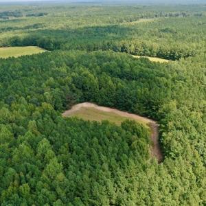 Photo #13 of SOLD property in Off Peter Stallings Road, Macon, NC 187.0 acres