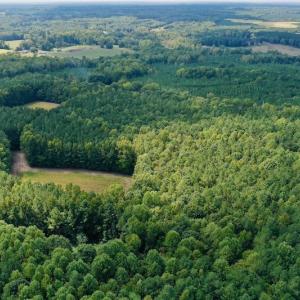 Photo #15 of SOLD property in Off Peter Stallings Road, Macon, NC 187.0 acres