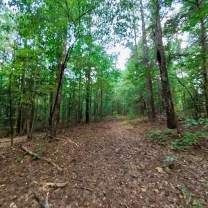 Photo #41 of SOLD property in Off Peter Stallings Road, Macon, NC 187.0 acres