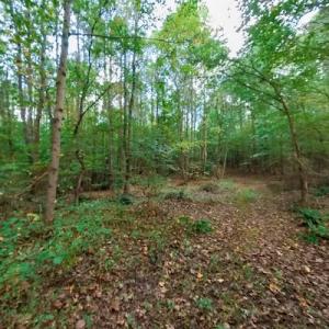 Photo #44 of Off Peter Stallings Road, Macon, NC 187.0 acres