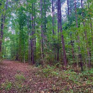 Photo #23 of Off Peter Stallings Road, Macon, NC 187.0 acres