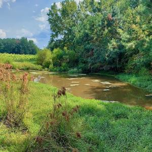 Photo #34 of SOLD property in Off Peter Stallings Road, Macon, NC 187.0 acres