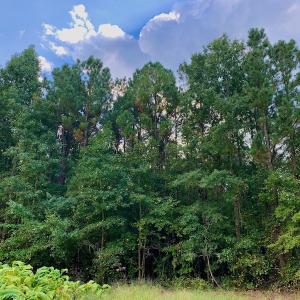 Photo #35 of Off Peter Stallings Road, Macon, NC 187.0 acres