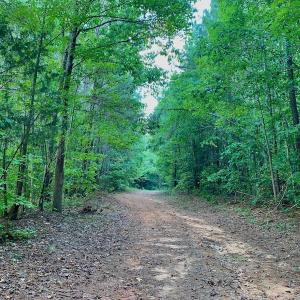 Photo #36 of Off Peter Stallings Road, Macon, NC 187.0 acres