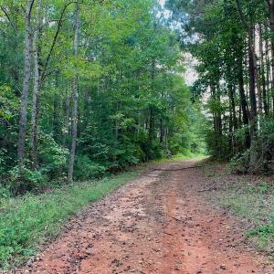 Photo #37 of SOLD property in Off Peter Stallings Road, Macon, NC 187.0 acres
