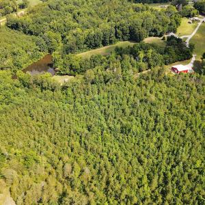 Photo #11 of Off Park Springs Lake Road, Providence, NC 16.0 acres