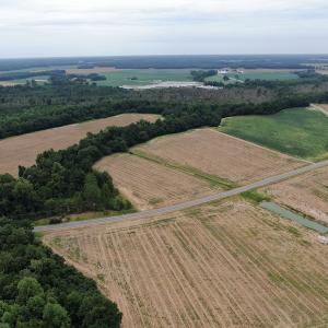 Photo #2 of SOLD property in OFF NC HWY 130 W, Rowland, NC 16.0 acres