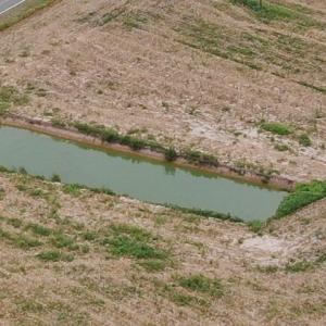 Photo #5 of SOLD property in OFF NC HWY 130 W, Rowland, NC 16.0 acres