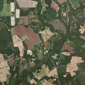 Photo #10 of SOLD property in OFF NC HWY 130 W, Rowland, NC 16.0 acres