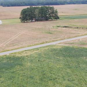Photo #4 of SOLD property in OFF NC HWY 130 W, Rowland, NC 16.0 acres