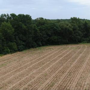 Photo #7 of OFF NC HWY 130 W, Rowland, NC 16.0 acres