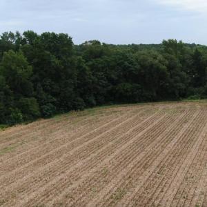 Photo #7 of SOLD property in OFF NC HWY 130 W, Rowland, NC 16.0 acres