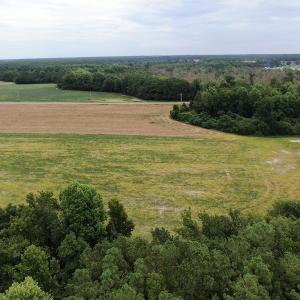 Photo #5 of SOLD property in OFF NC HWY 130 W , Rowland, NC 23.0 acres