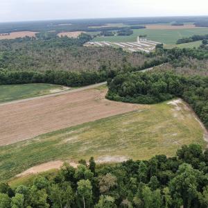 Photo #6 of SOLD property in OFF NC HWY 130 W , Rowland, NC 23.0 acres