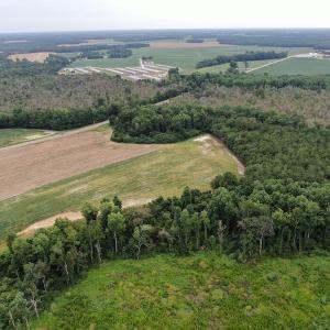 Photo #7 of SOLD property in OFF NC HWY 130 W , Rowland, NC 23.0 acres