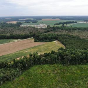 Photo #8 of SOLD property in OFF NC HWY 130 W , Rowland, NC 23.0 acres