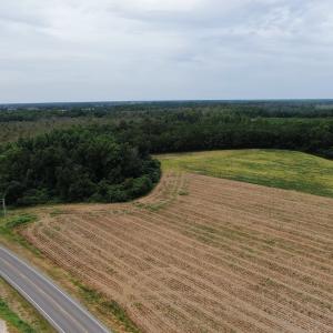 Photo #11 of OFF NC HWY 130 W , Rowland, NC 23.0 acres