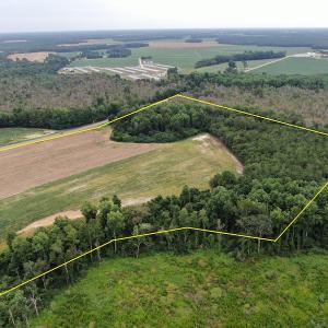 Photo #2 of SOLD property in OFF NC HWY 130 W , Rowland, NC 23.0 acres