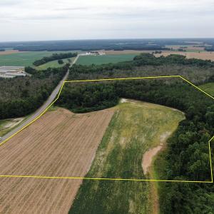 Photo #3 of SOLD property in OFF NC HWY 130 W , Rowland, NC 23.0 acres