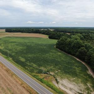 Photo #5 of SOLD property in Off NC HWY 130 W, Rowland, NC 90.0 acres